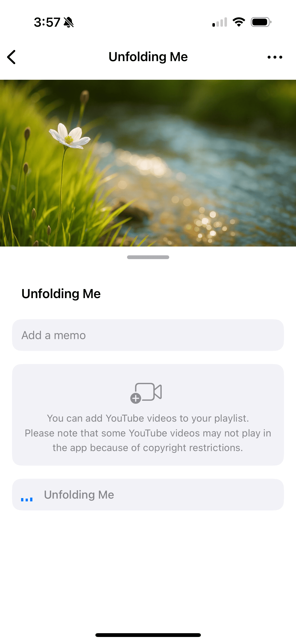 Playlist screenshot 4