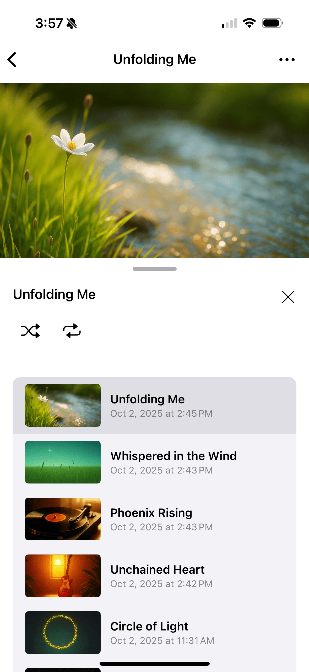 Playlist screenshot 5